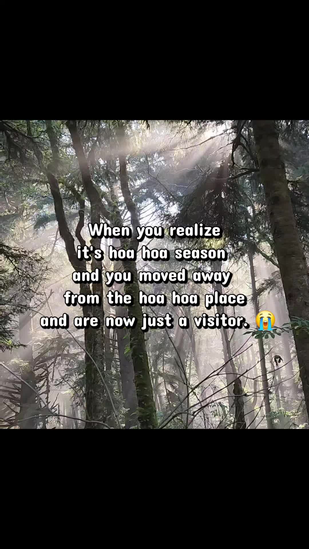 @Melissa 🐝