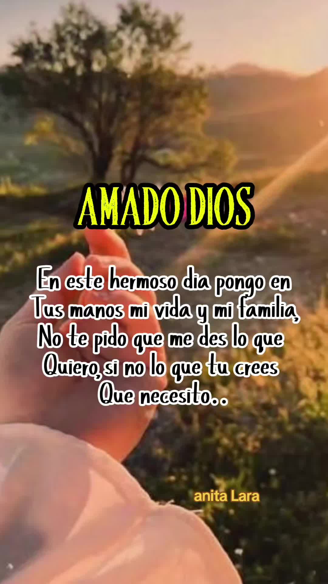 @Anita Lara