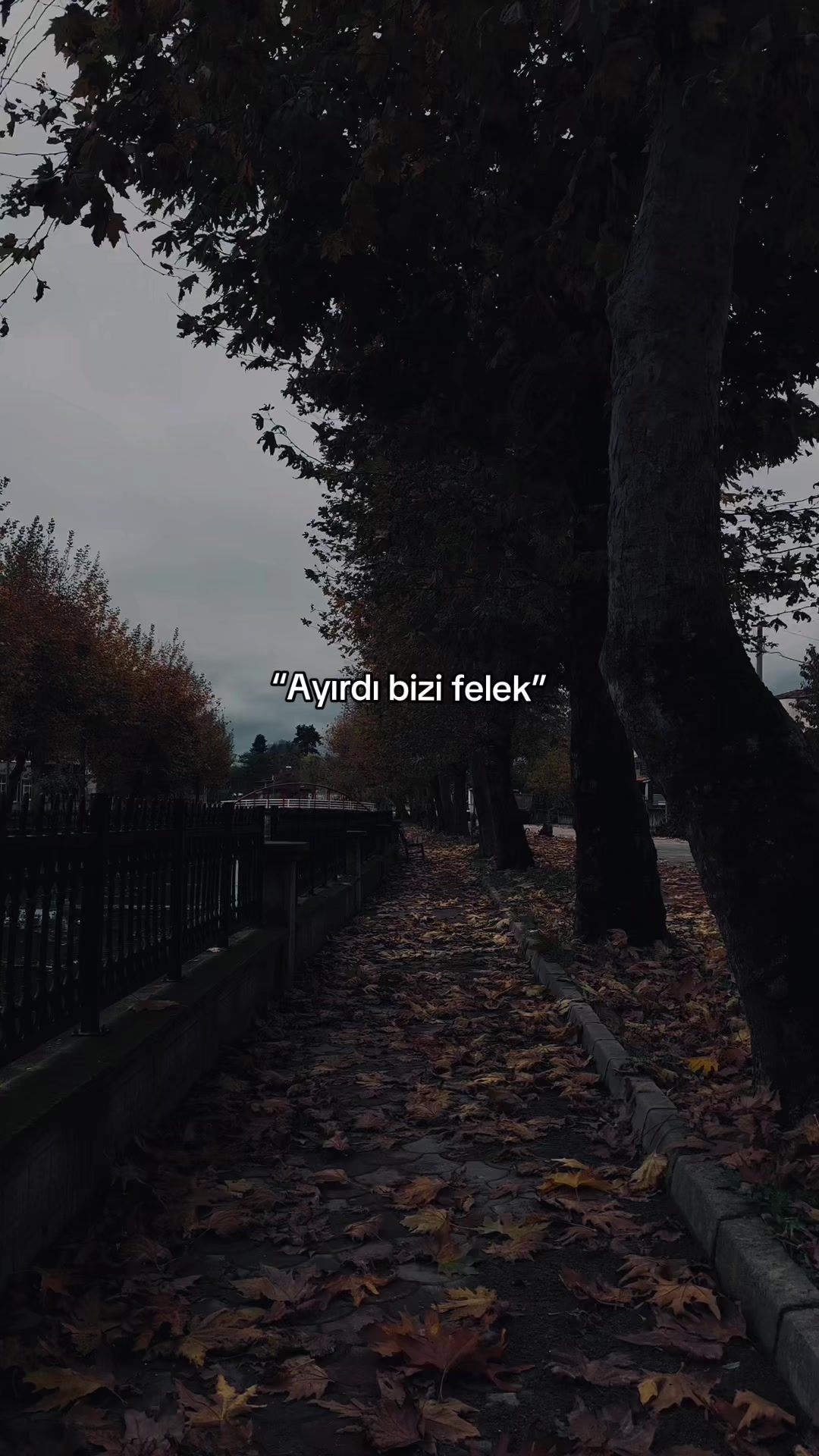 @mustafa🇹🇷