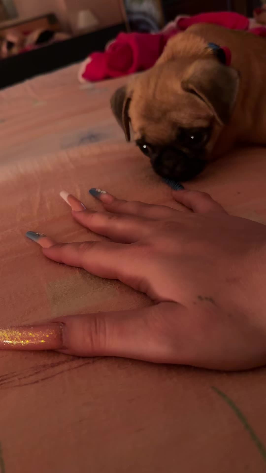 @melissuccia❤️⛓️❤️