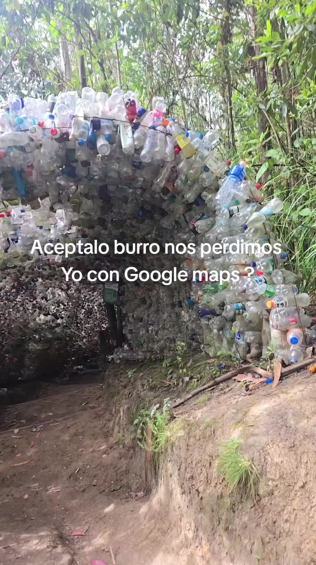 @consentida