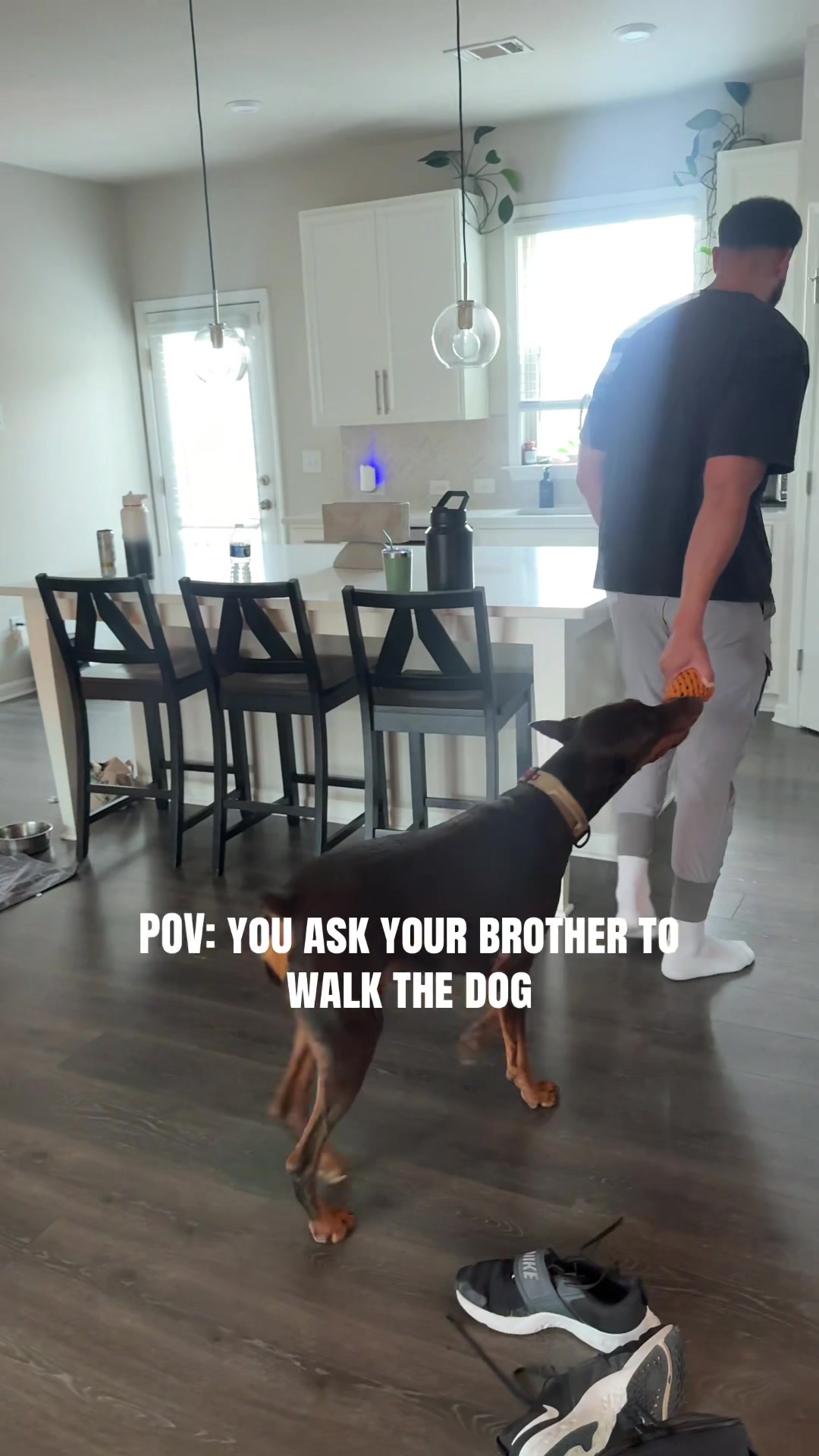 @Royce