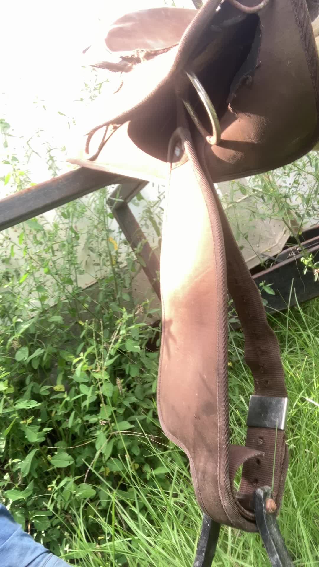 @alejandronu&ntilde;ez007