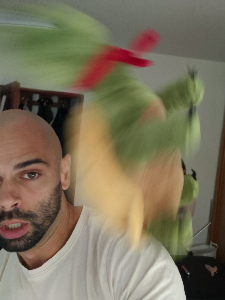 @logicno