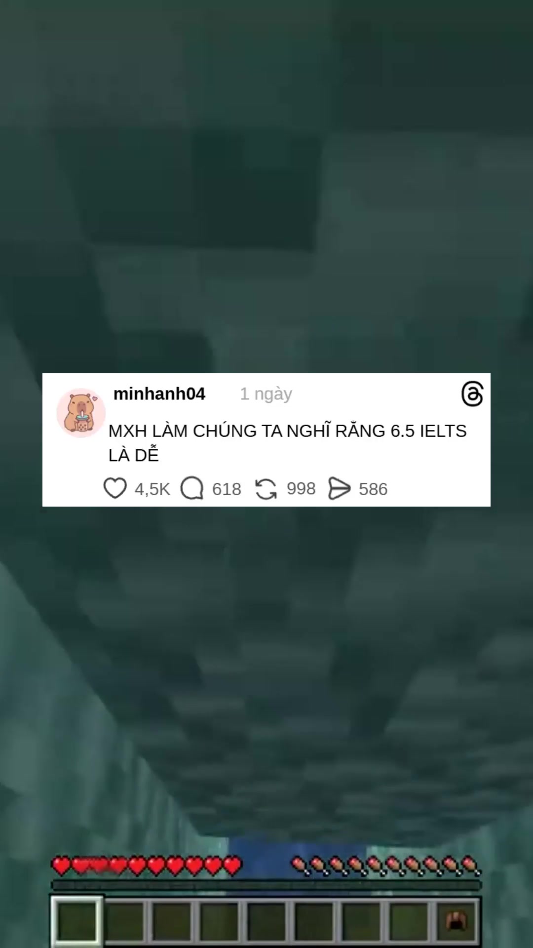 @Học như không học 🦢