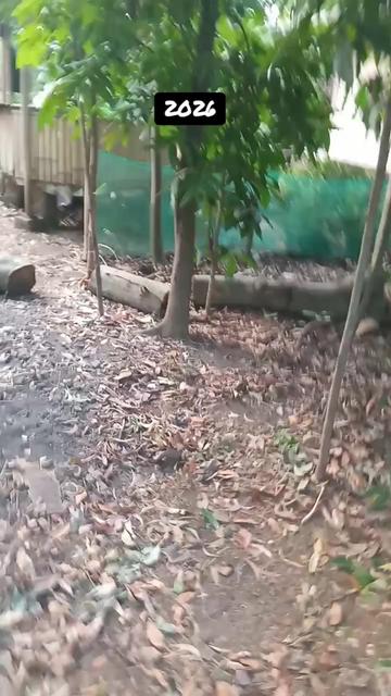 @๐๐ข๐ฑ๐ช๐๐ข๐บใ