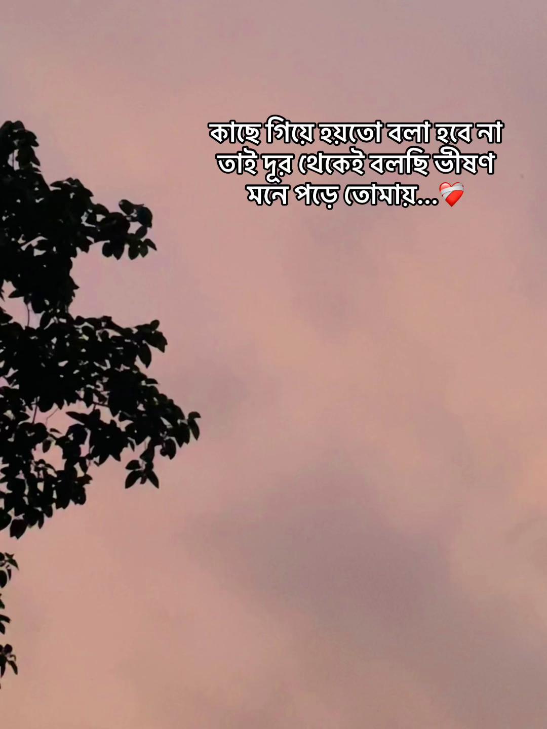 @SHAKIN ALVI 