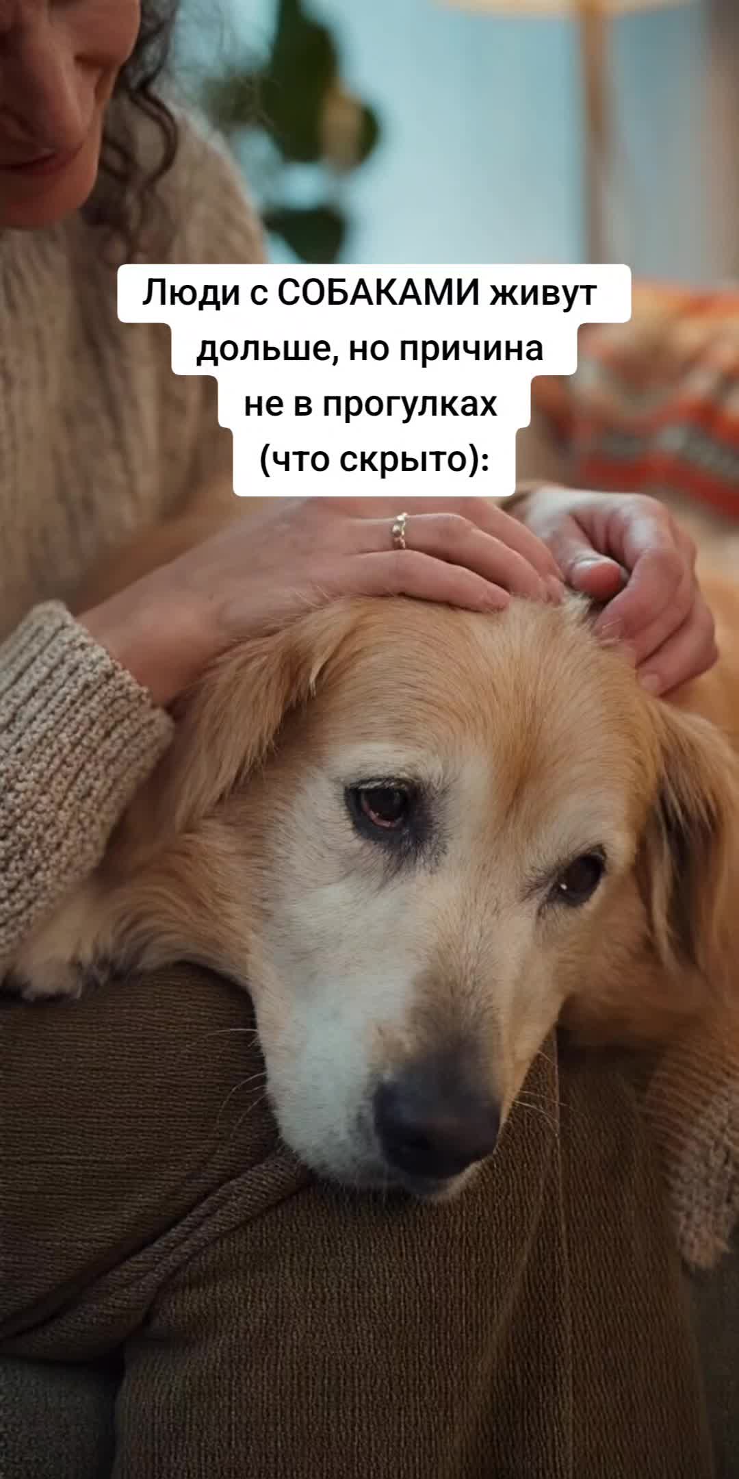 @Алёна Веста