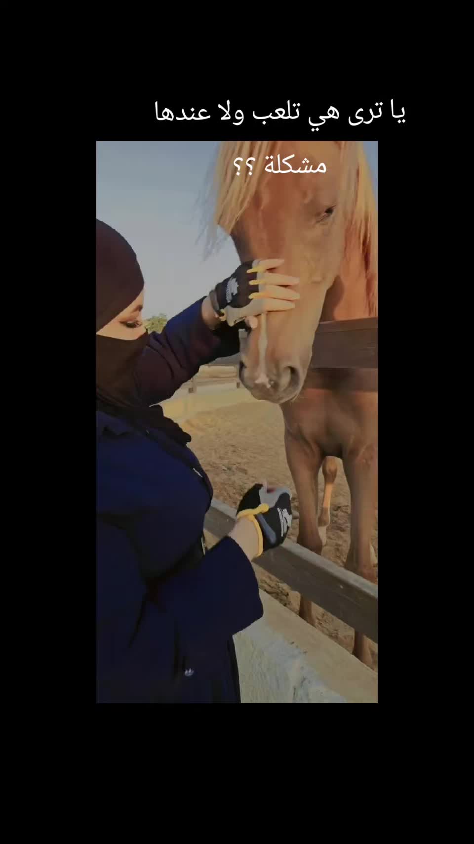 @الفارسة الملثمة 🐎🥷