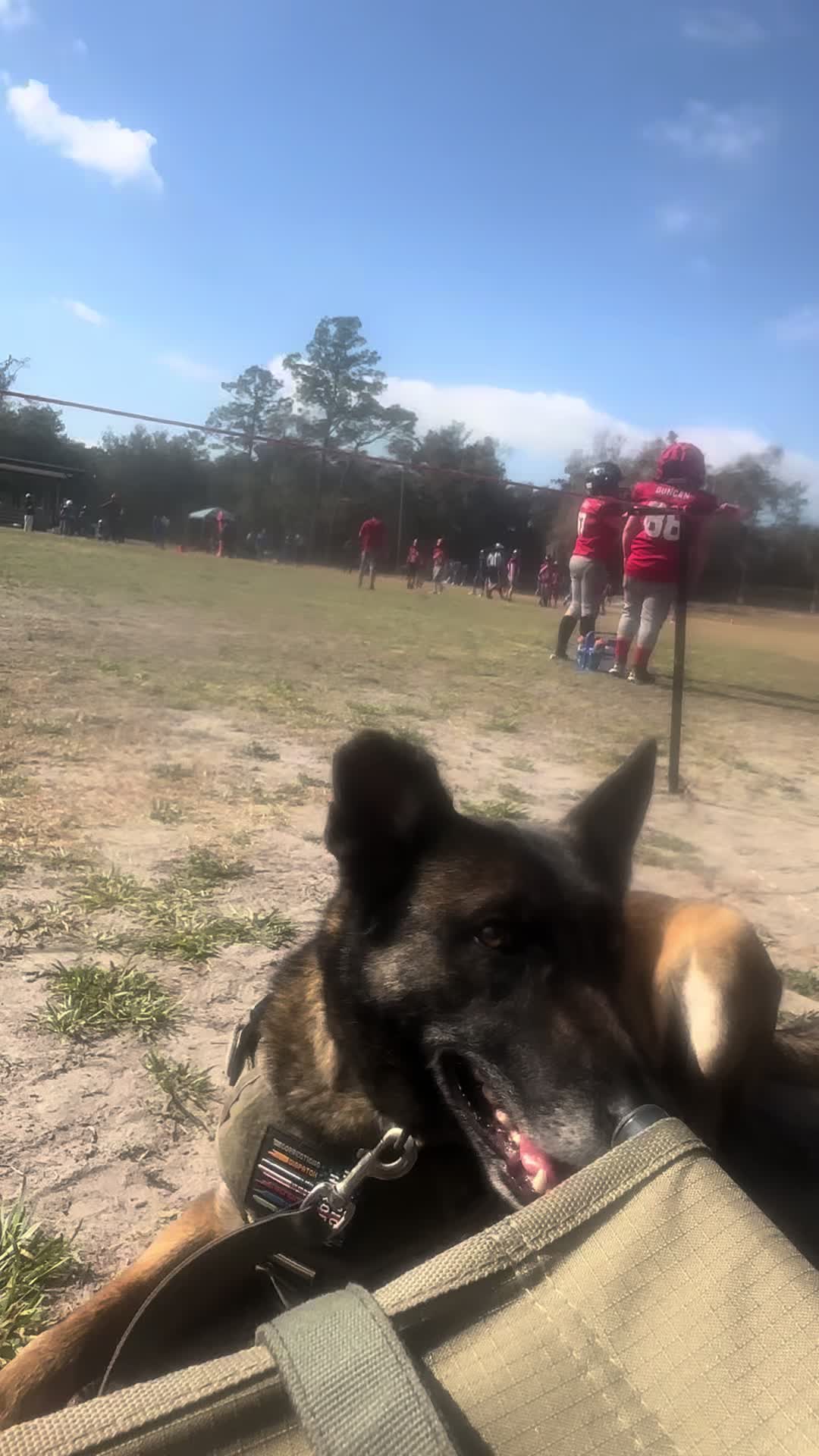 @K9.corporal