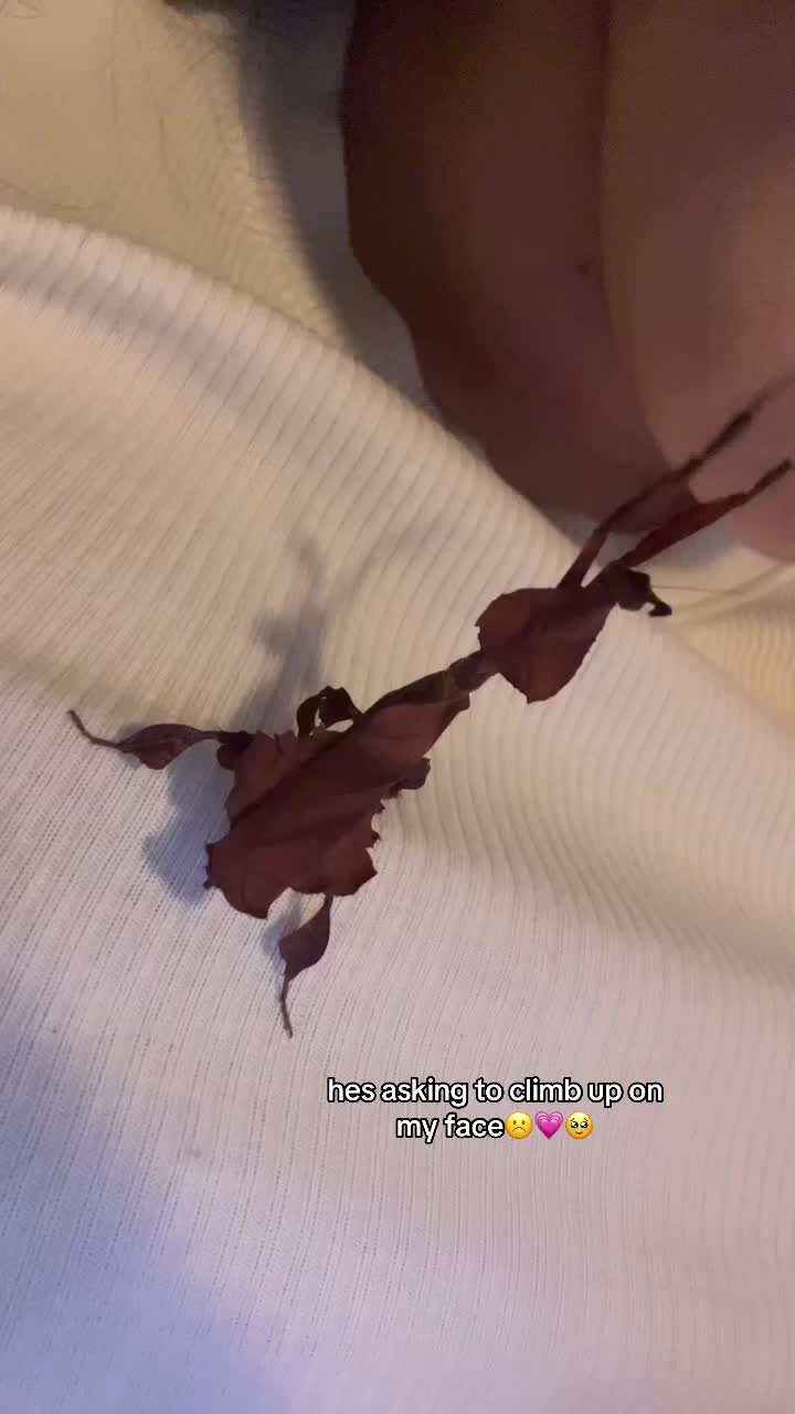 @juliebug