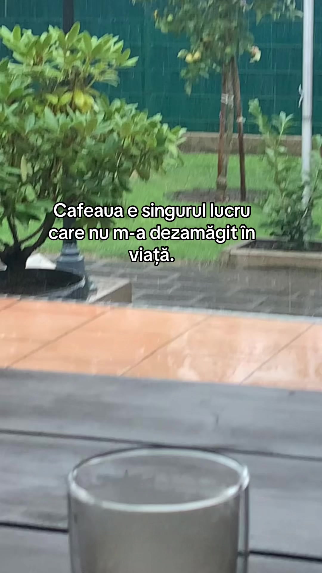 @mihaela.miha.ela14.08