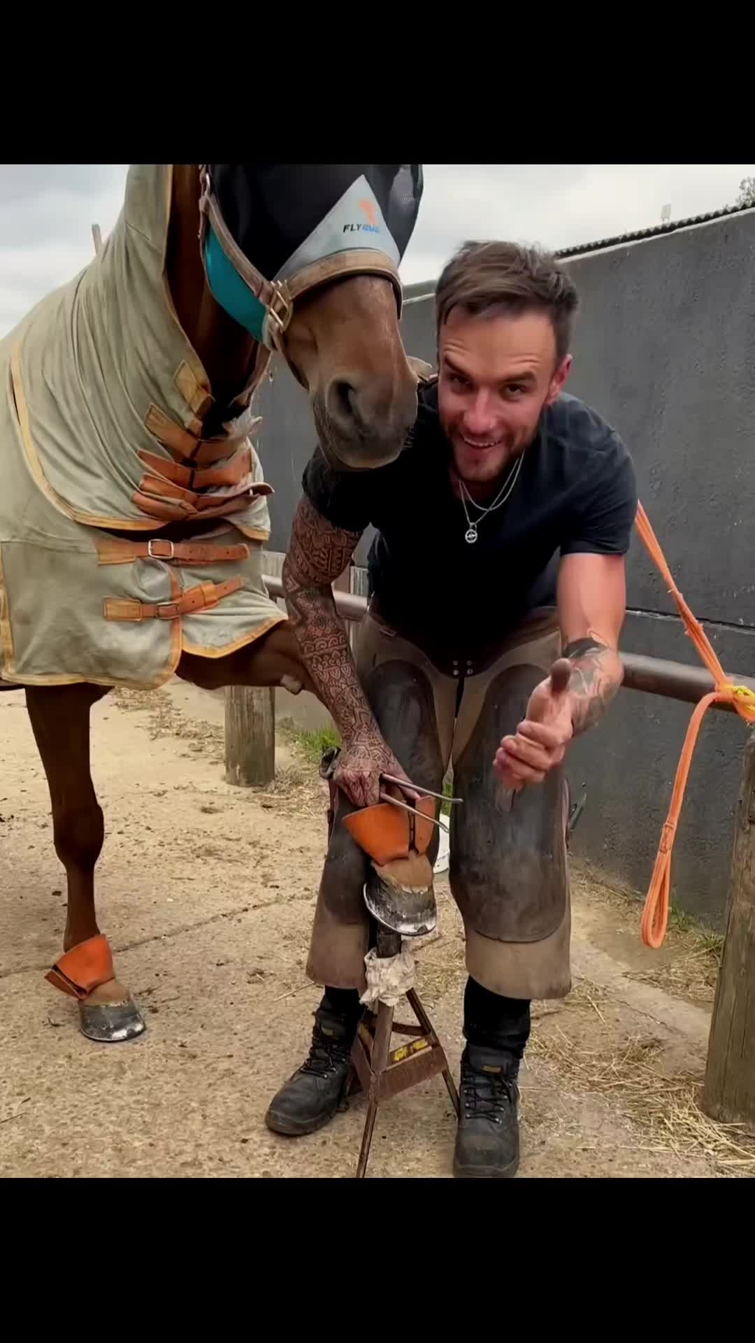 @Tessa - Animal US