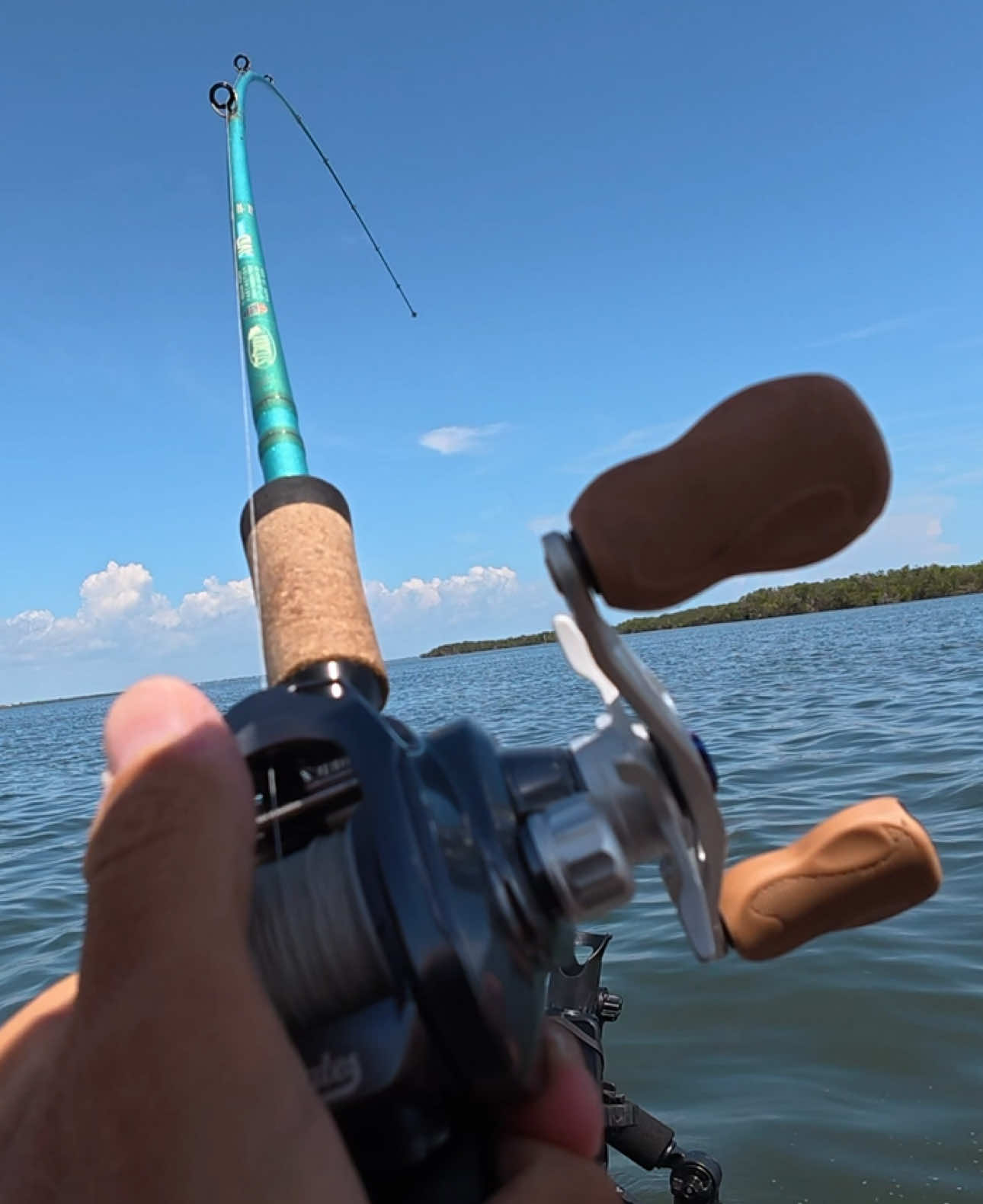 @HookedOnSharksLLC