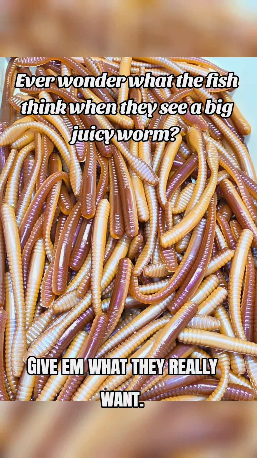 @Littlejoesoutdoors.com