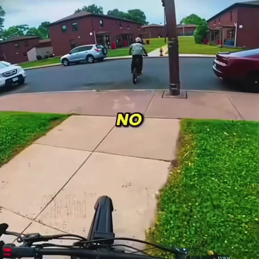 @bear