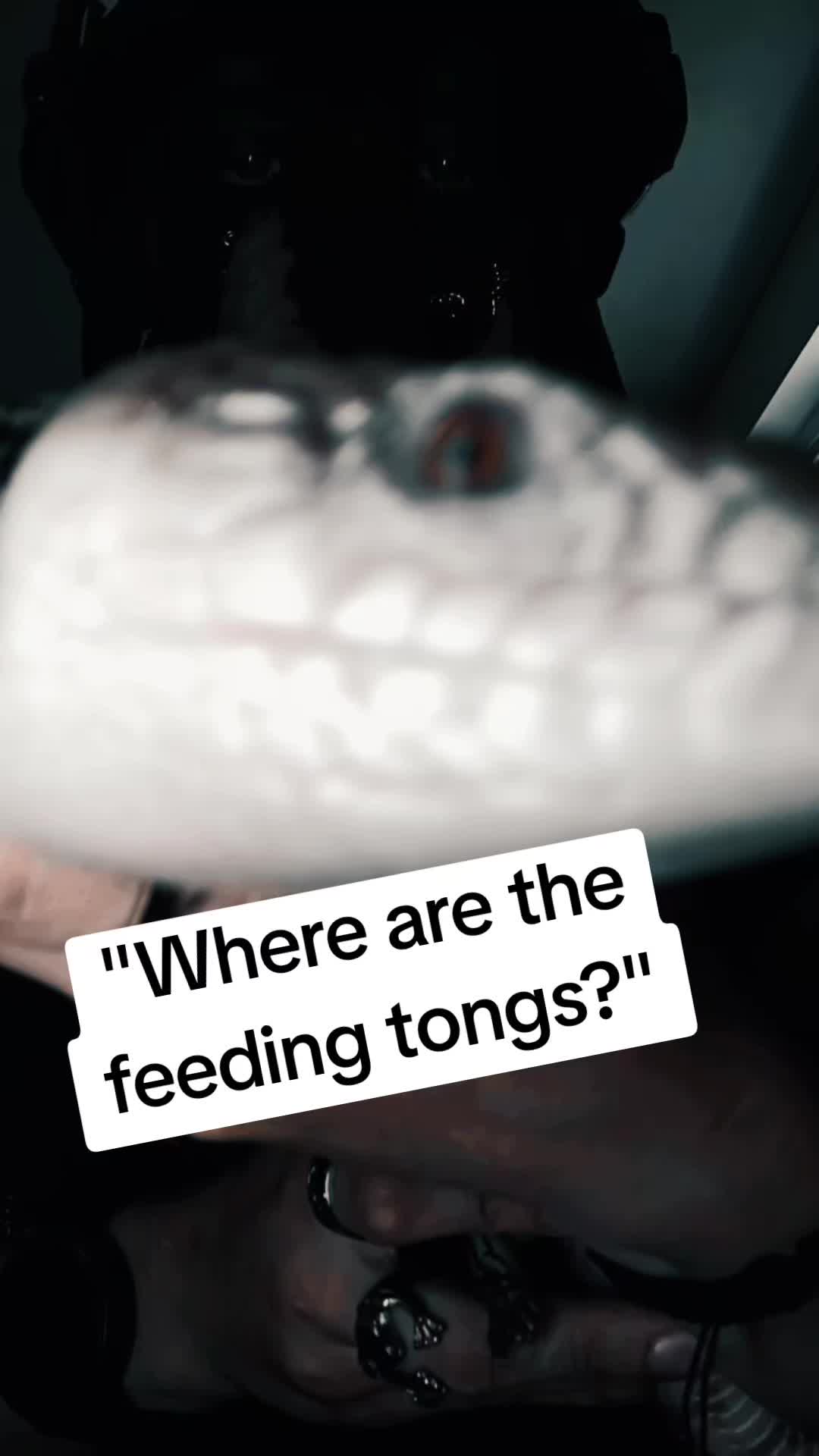 @KingK&ouml;nig