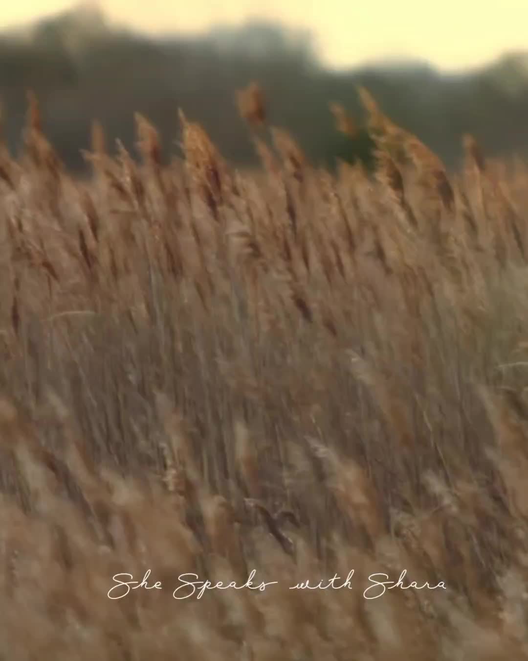 @She Speaks With Shara