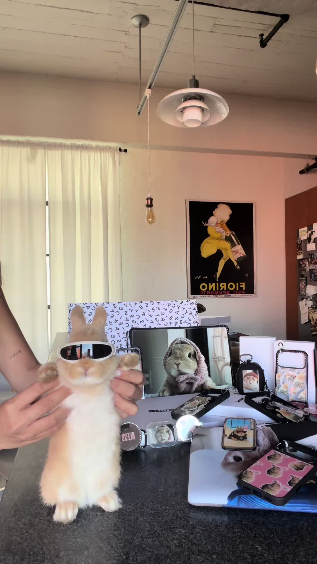 @Bunnydayoff