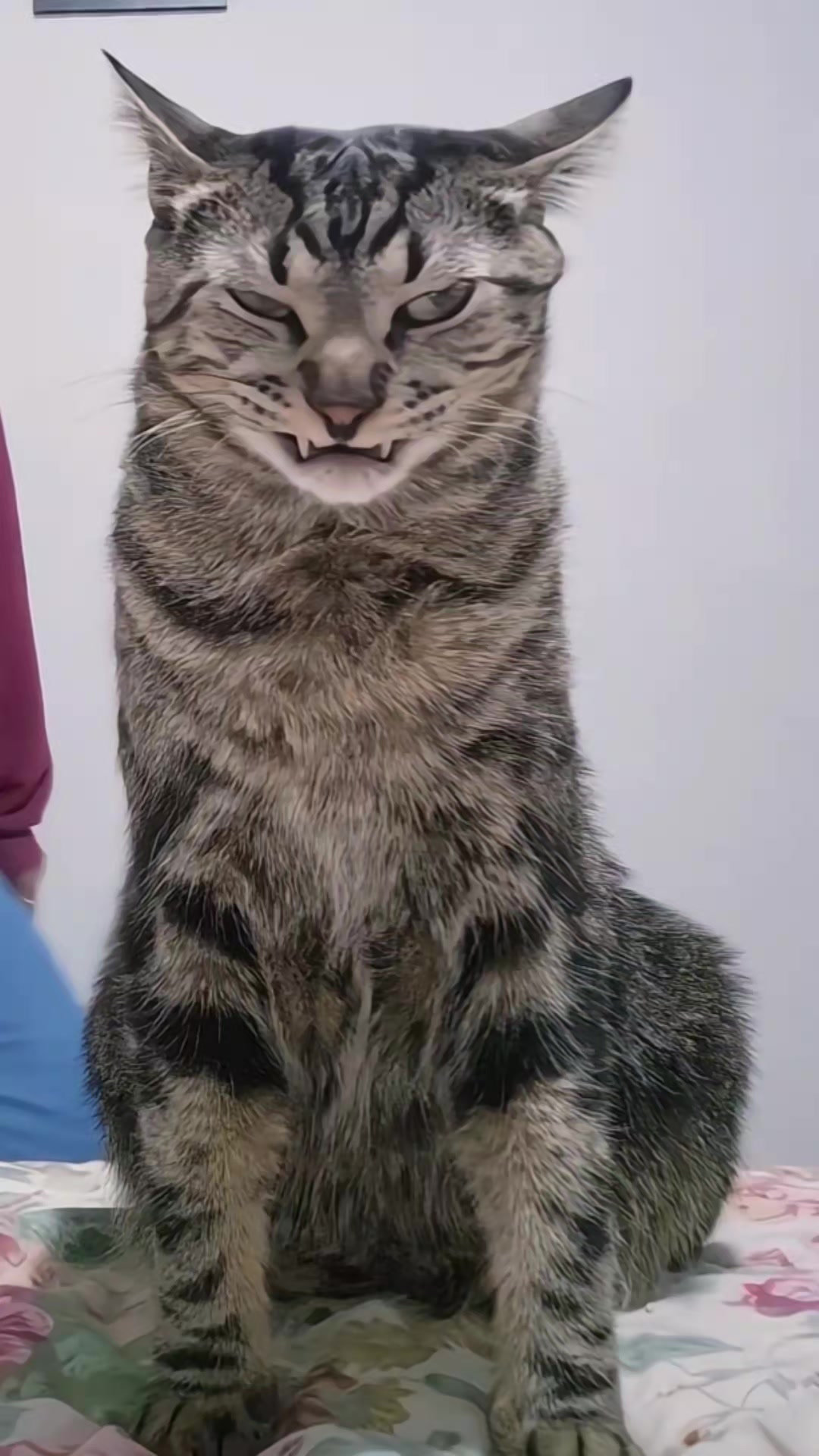 @Mushu