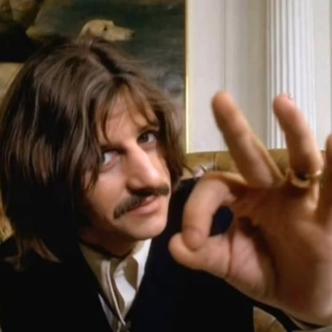 @✦—Ringo!—✦