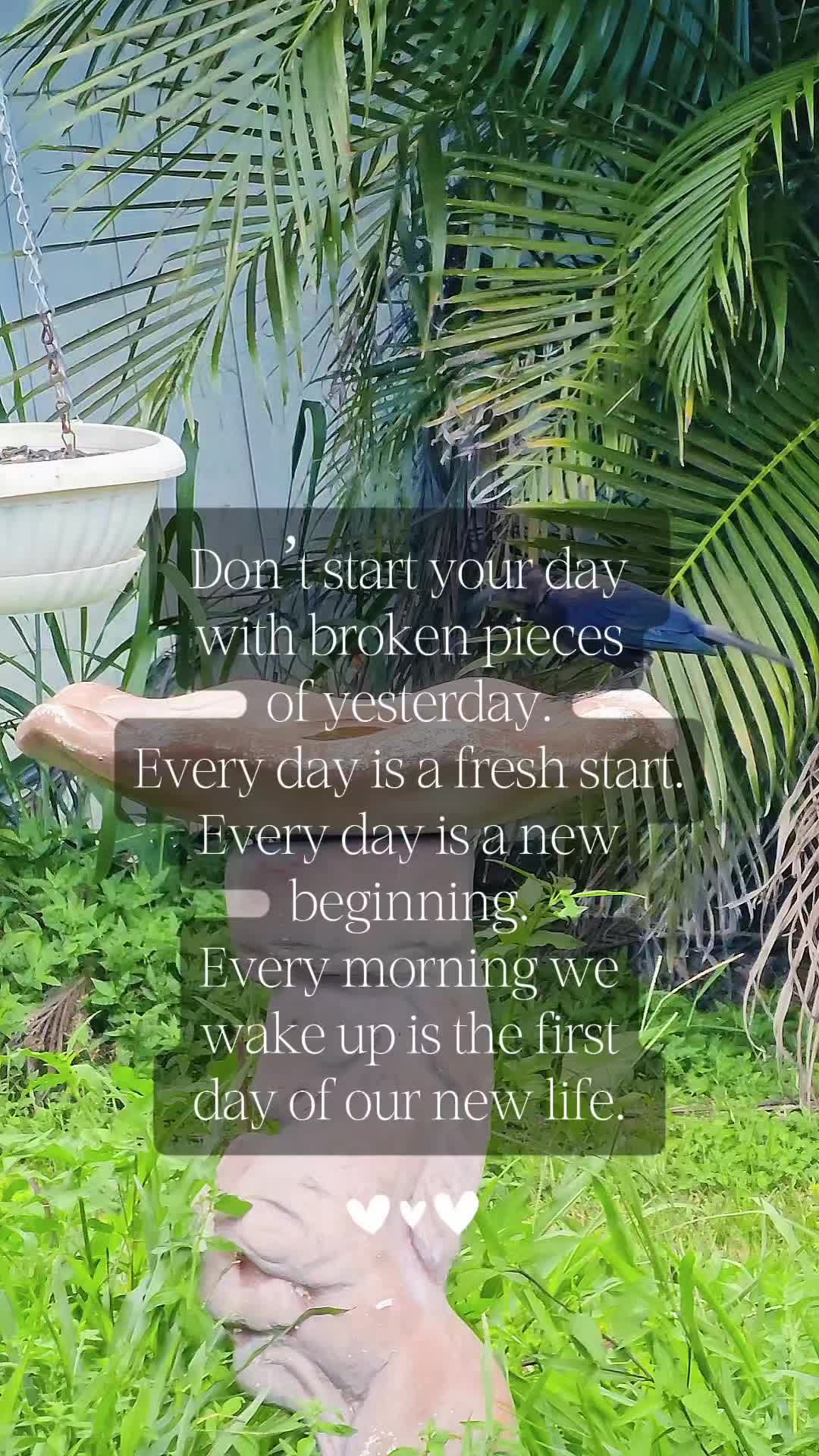 @🦋 Natalie 🦋