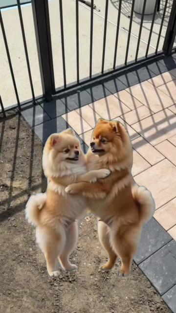 @&hearts;️&hearts;️&hearts;️CORAZ&Oacute;N 1&hearts;️&hearts;️&hearts;️