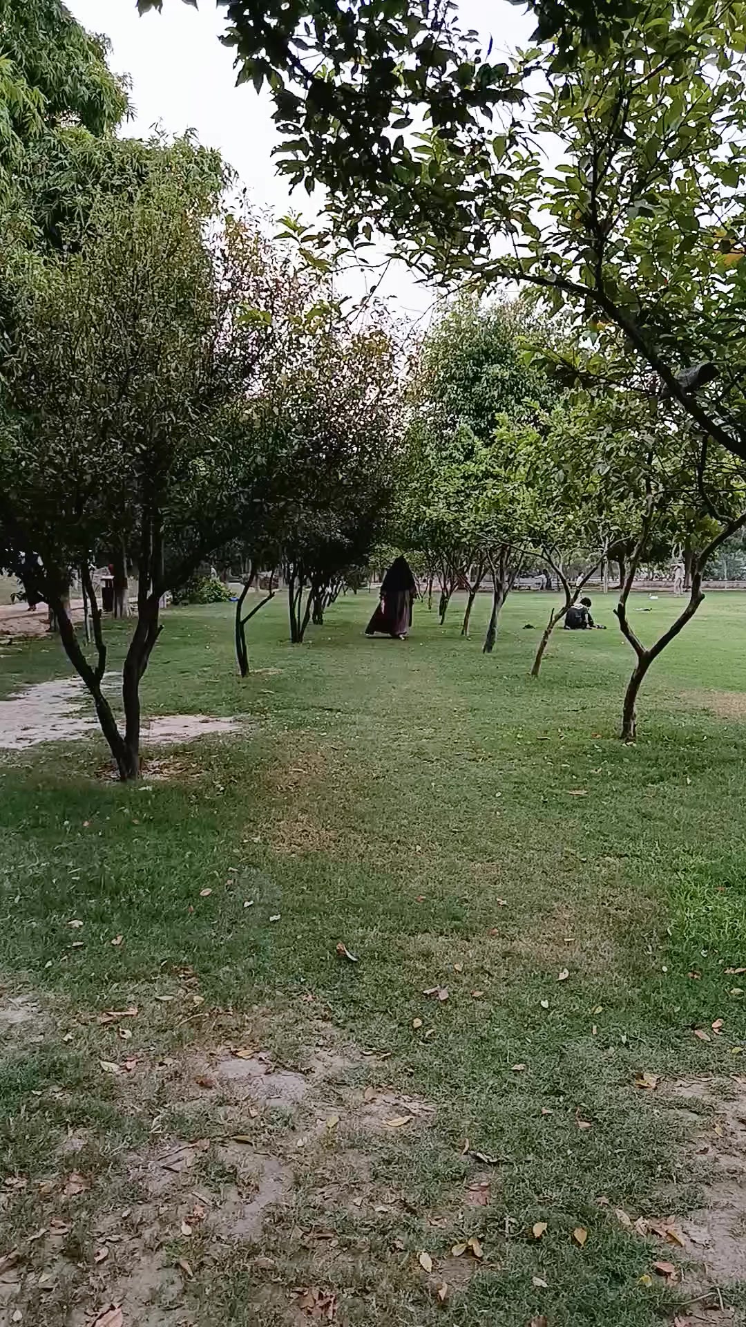 @foziaqureshi271