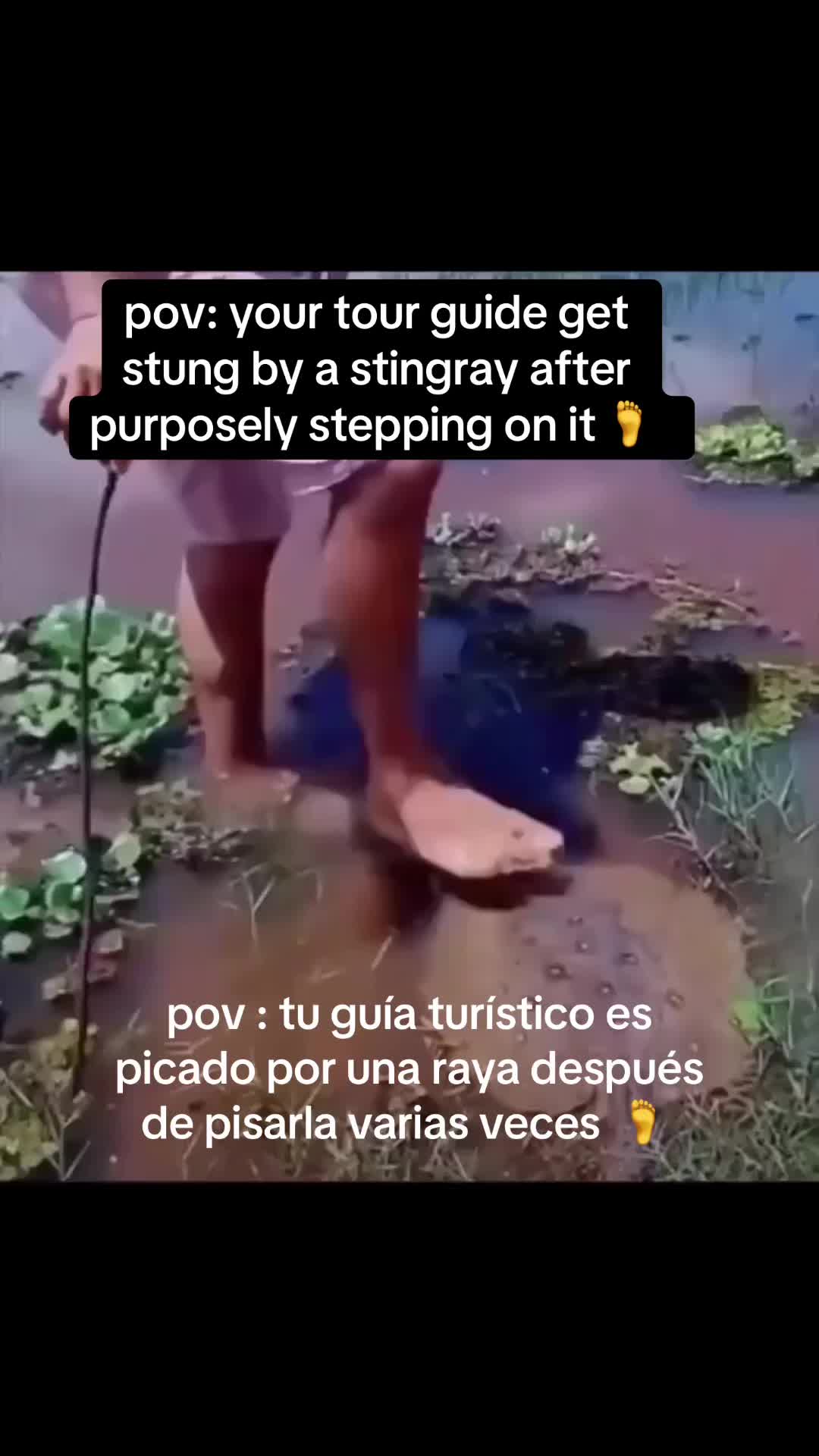 @vl0gsca