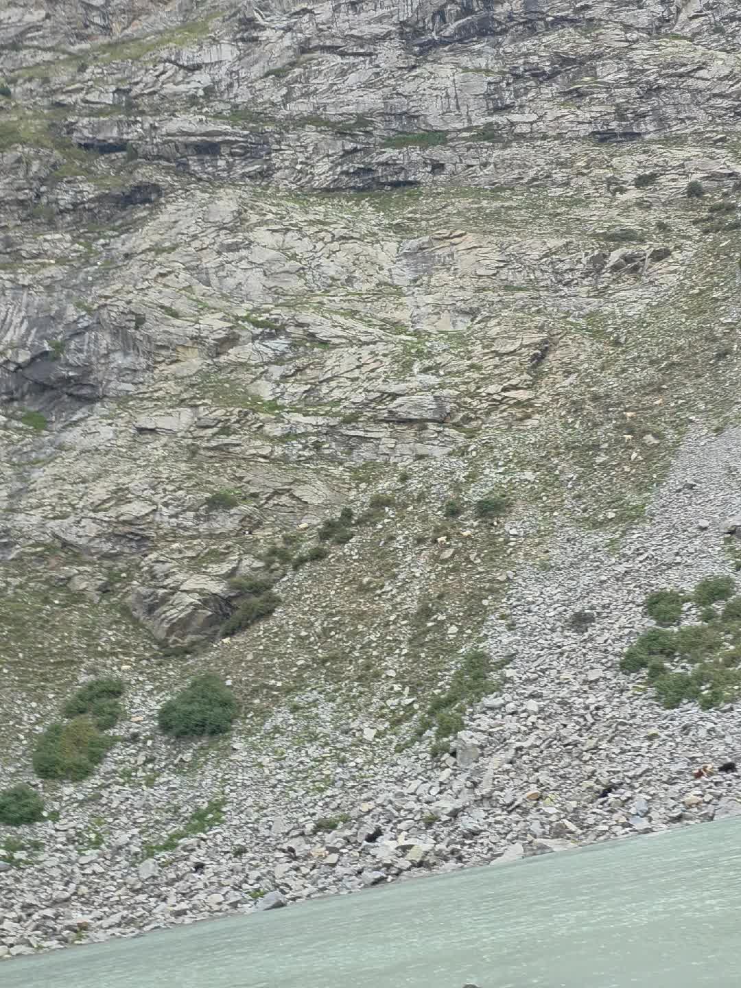 @jazib.warraich50
