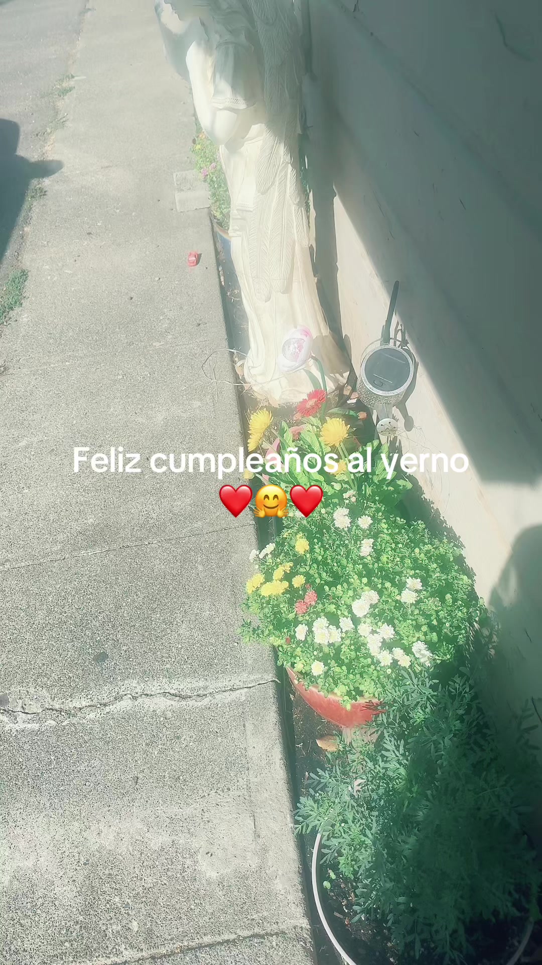 @Palmis