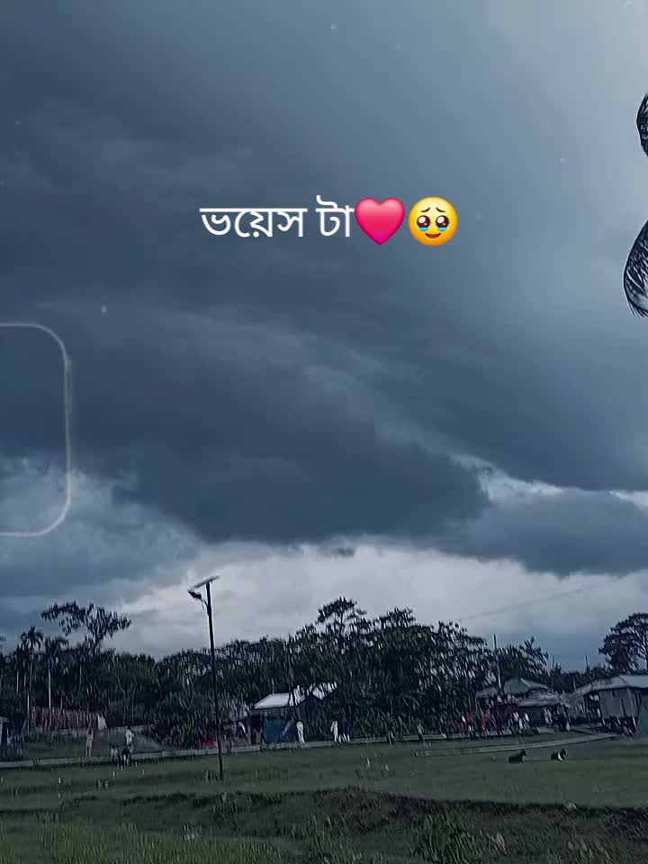 @Lamiya Akthar