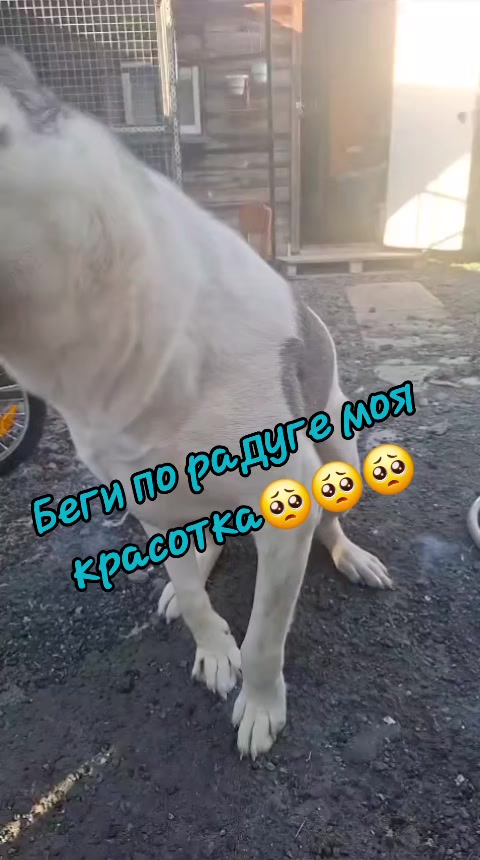 @*ШАЛЬНАЯ ИМПЕРАТРИЦА*