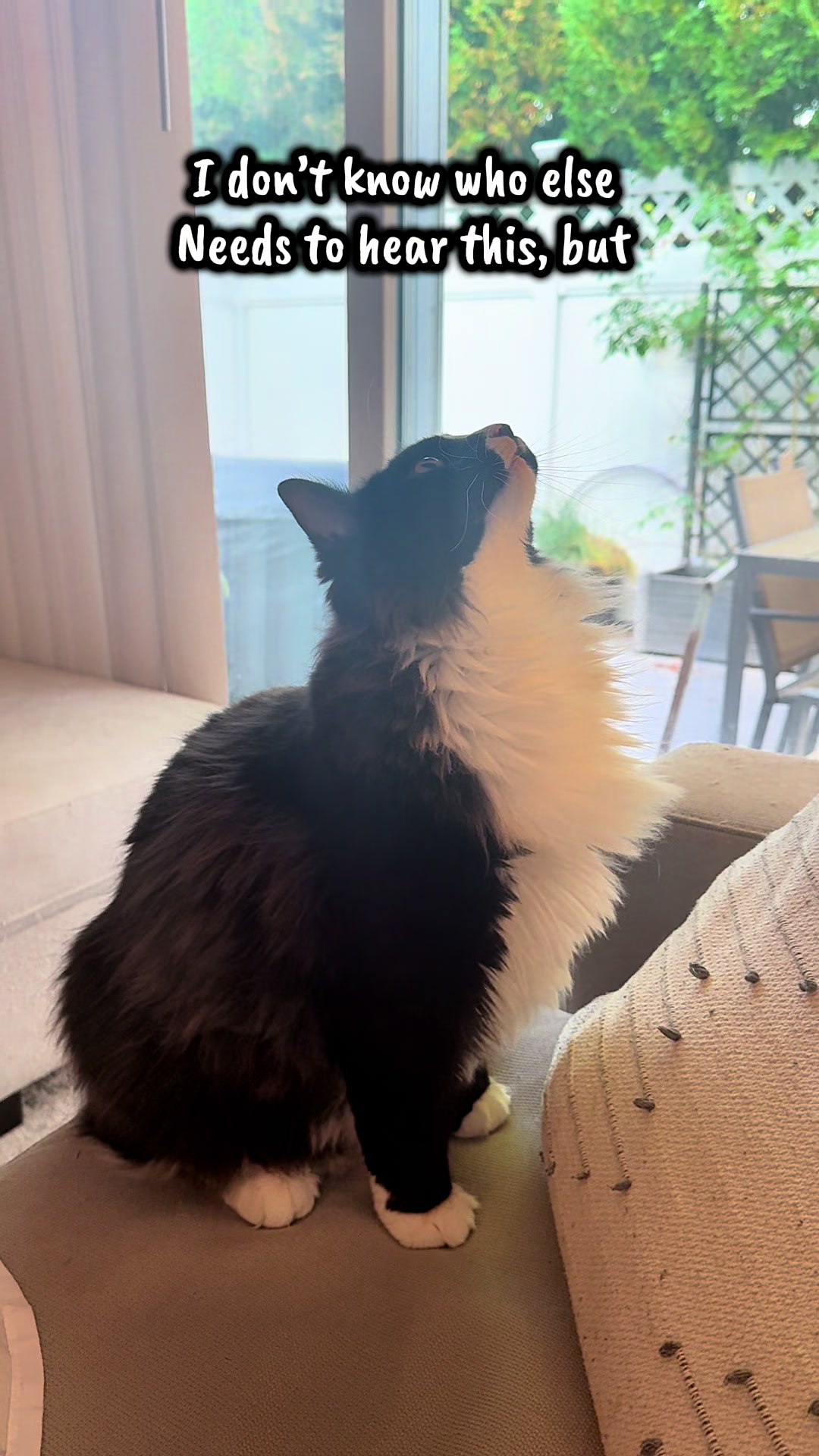 @TailsandWhiskersCo
