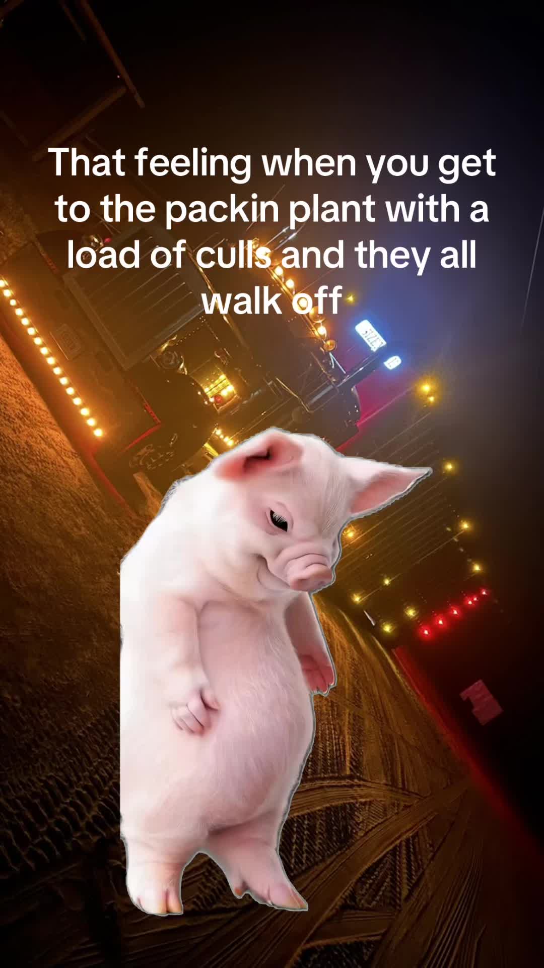 @Slim lewis