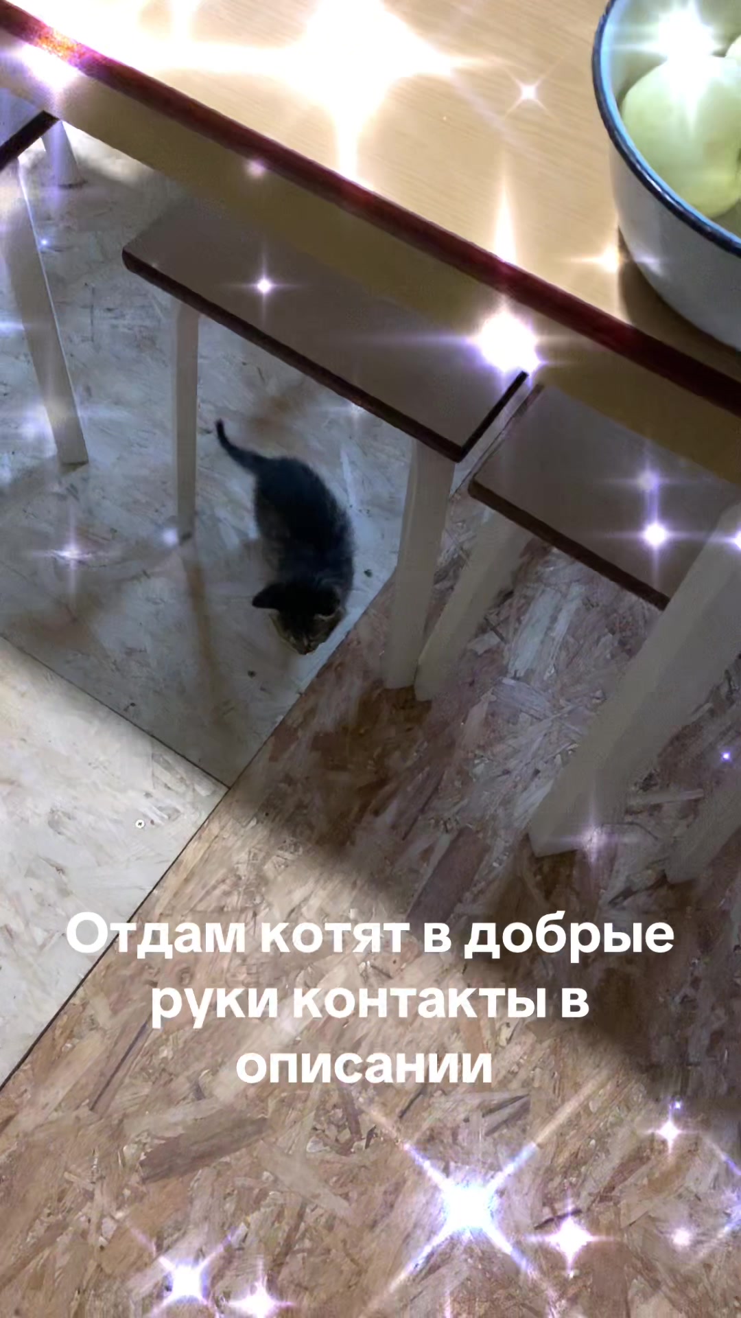 @Сергей