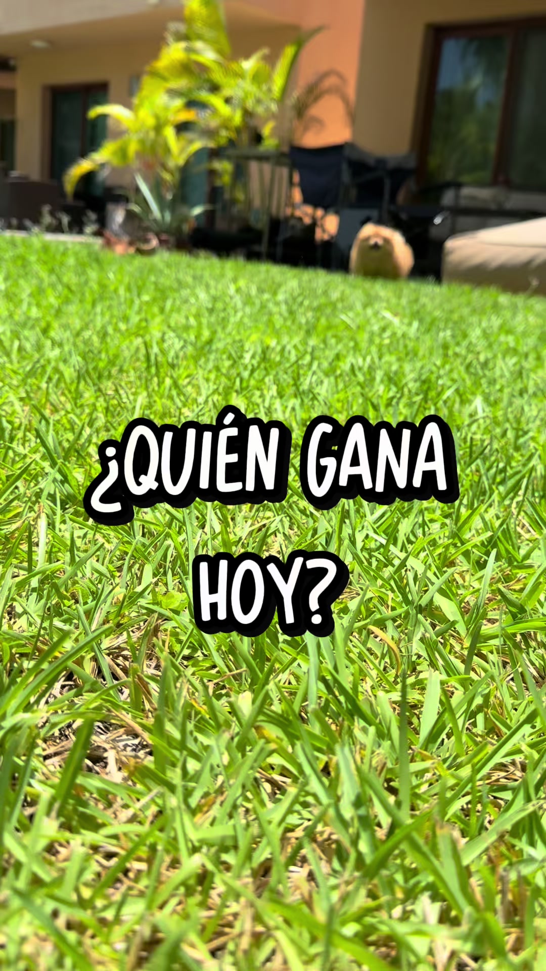 @Yo soy Jimena Murillo