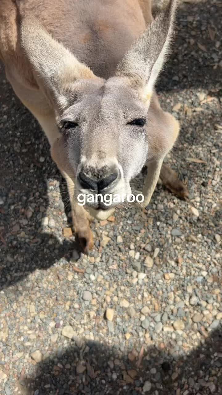 @s.ylviaaaa