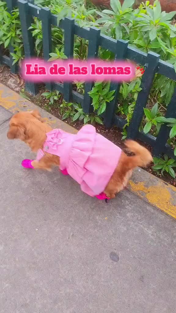 @El diario de Lia🐶🐾