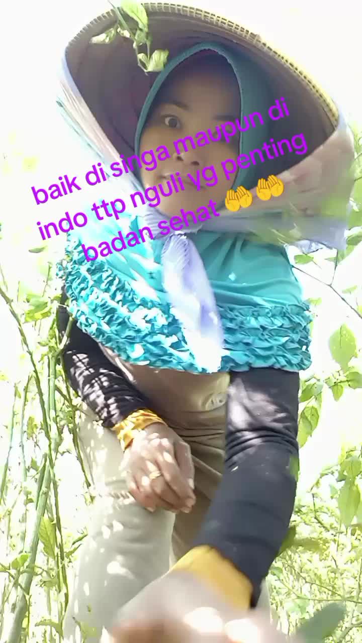 @Najwa syahidah