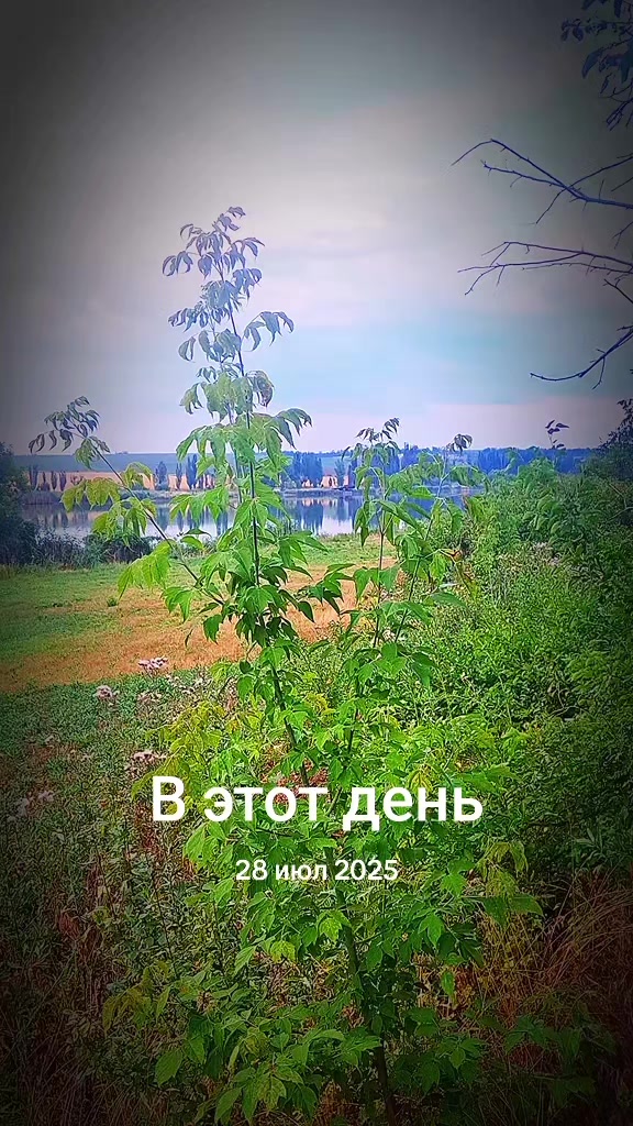 @sereqa812 Серега