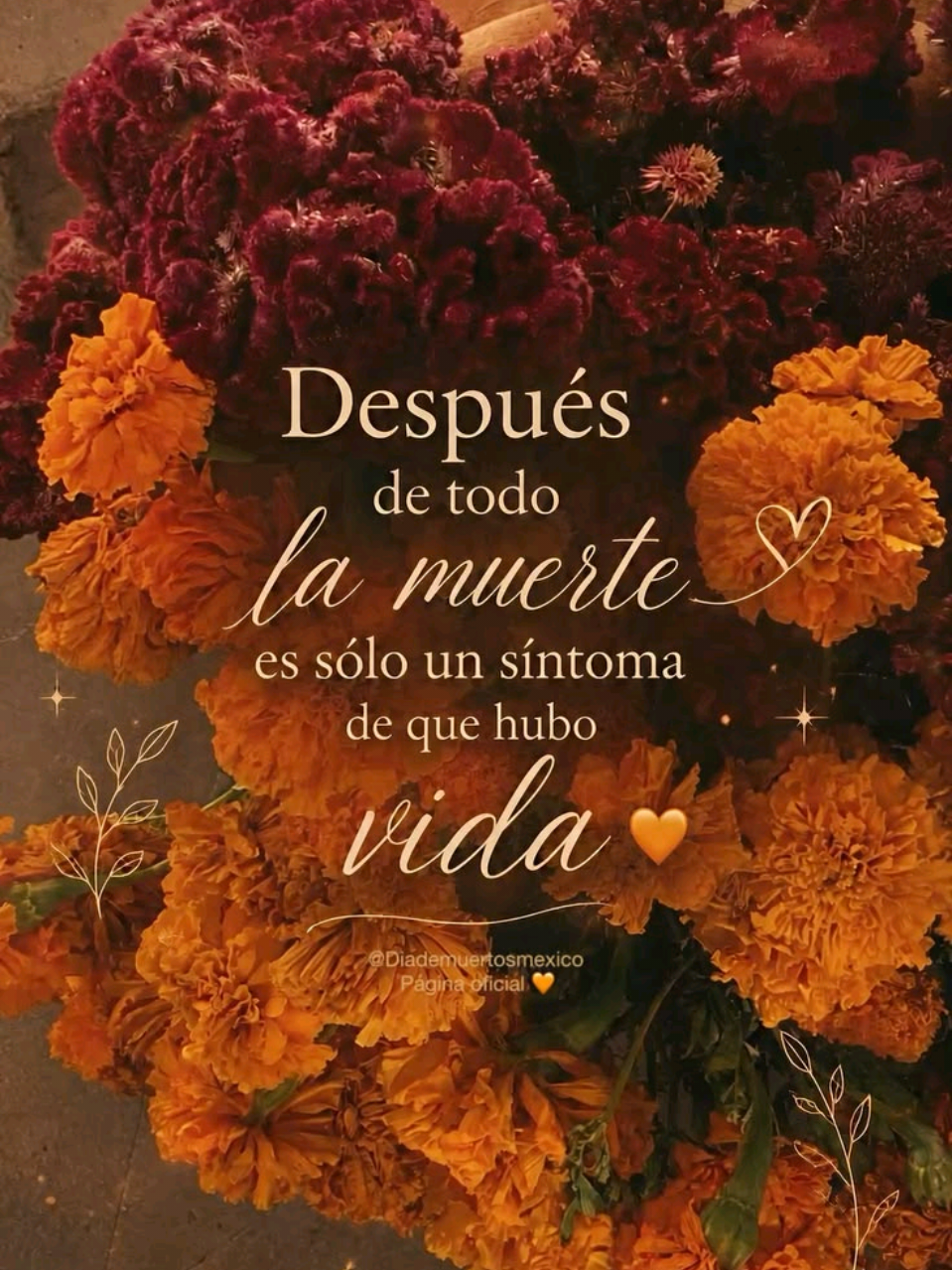 @Isa Sierra