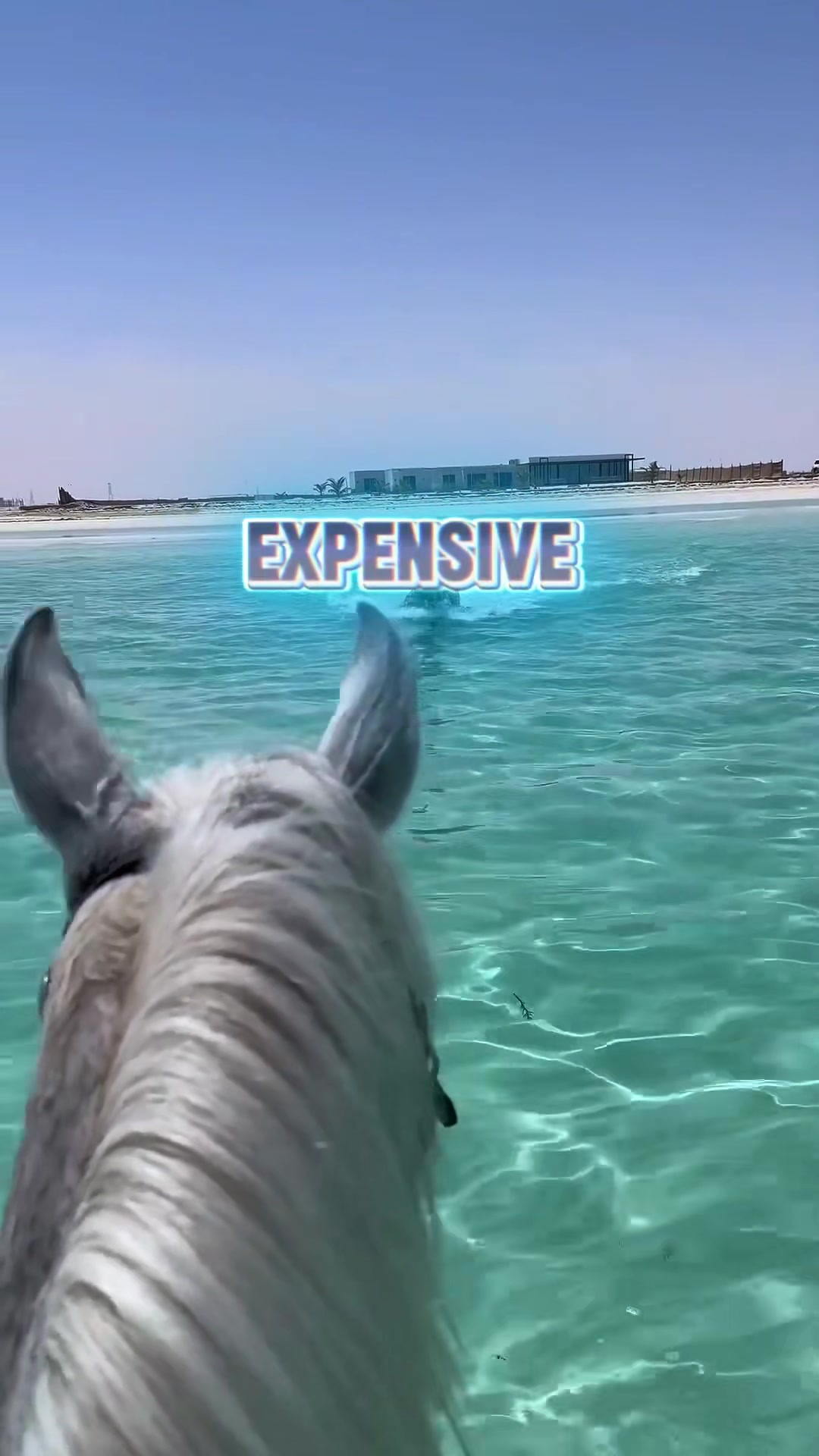 @Top5expensive