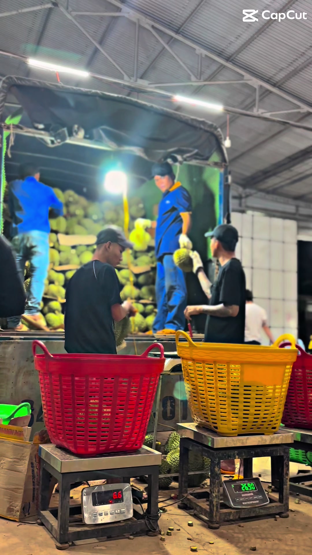 @Vinh Bùa