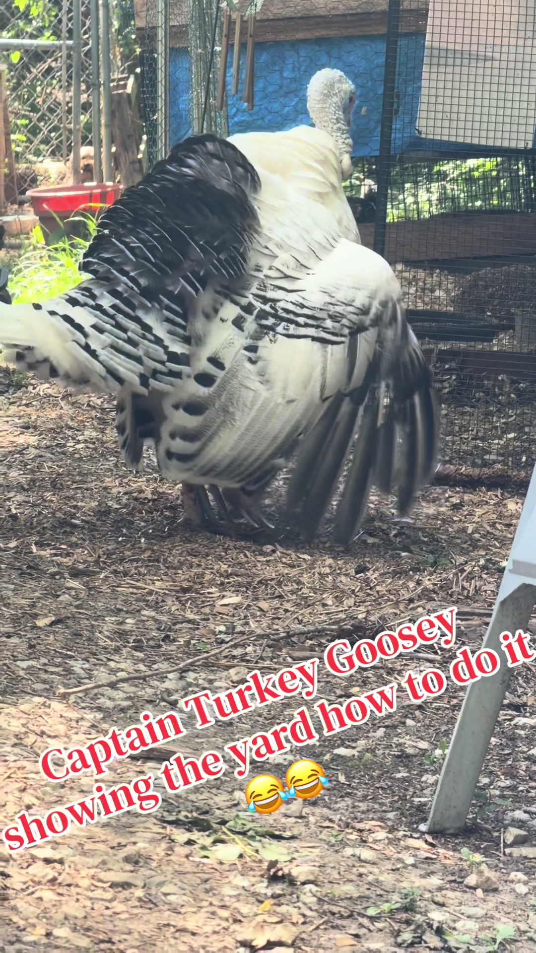@Nannabear
