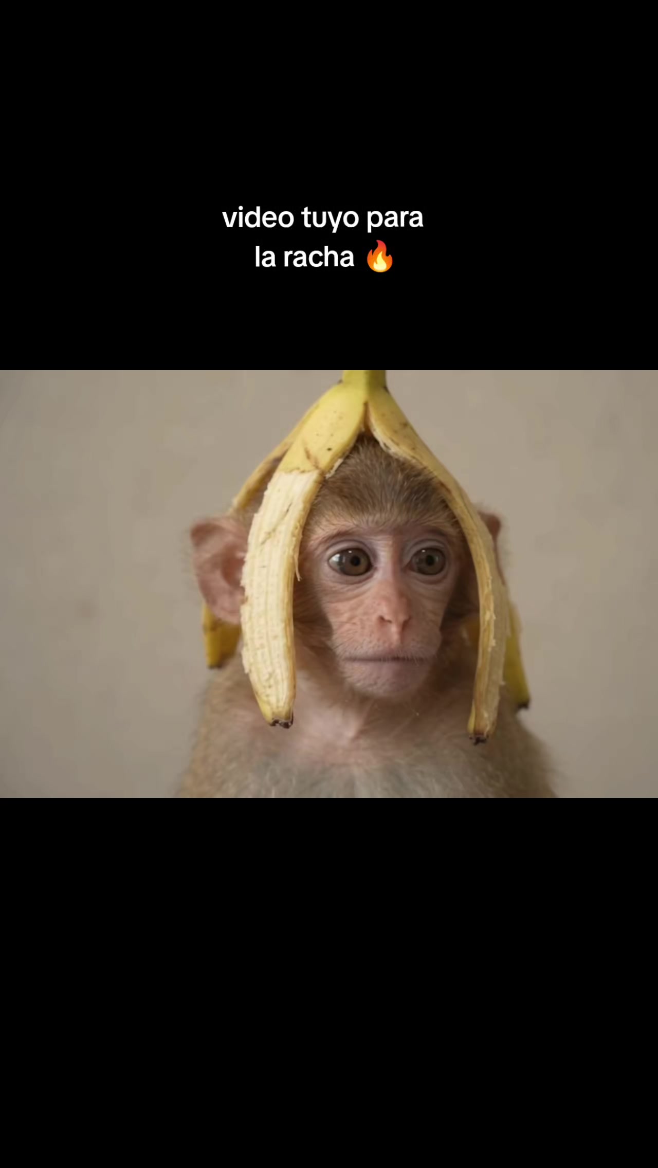 @RabPesito 🔥