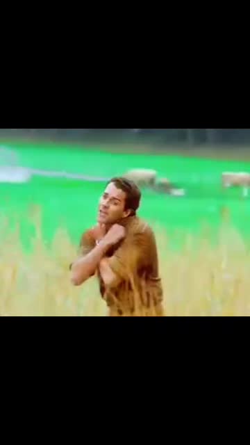 @Saung_bollywood 💫