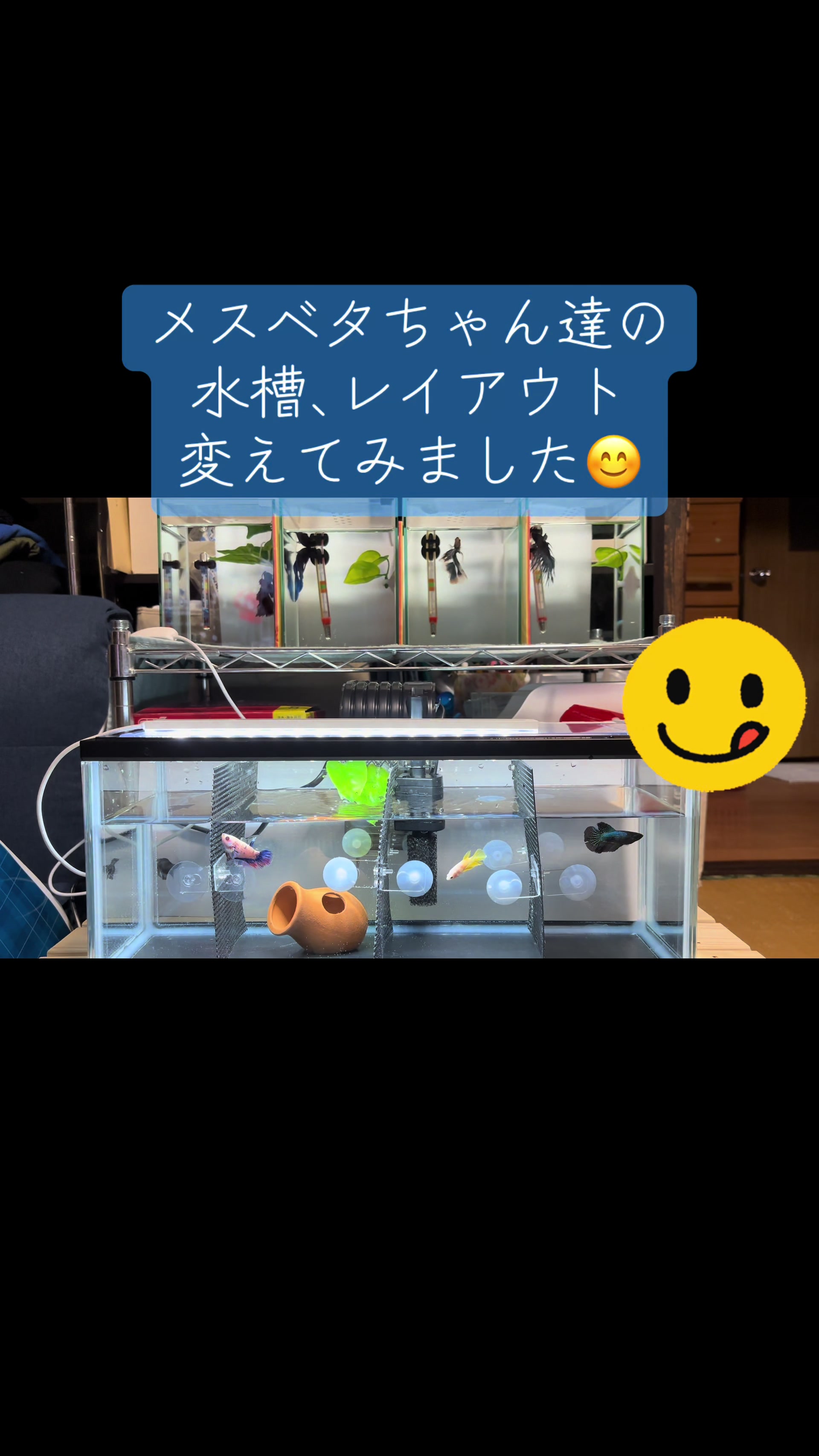 @ちあ🐠🫧