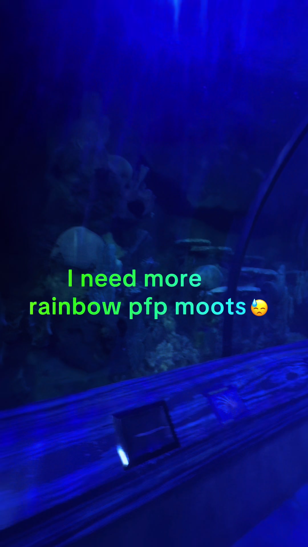@Ty<3