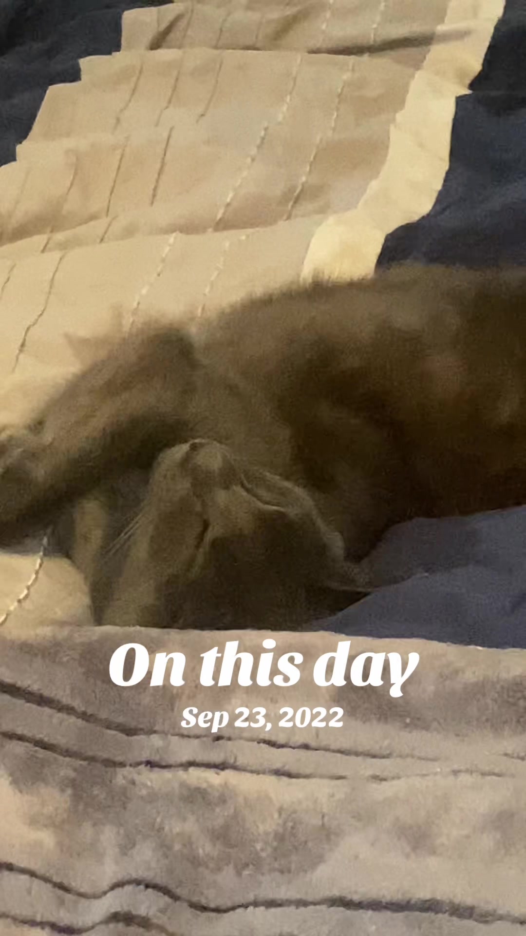 @💙Brandi💙